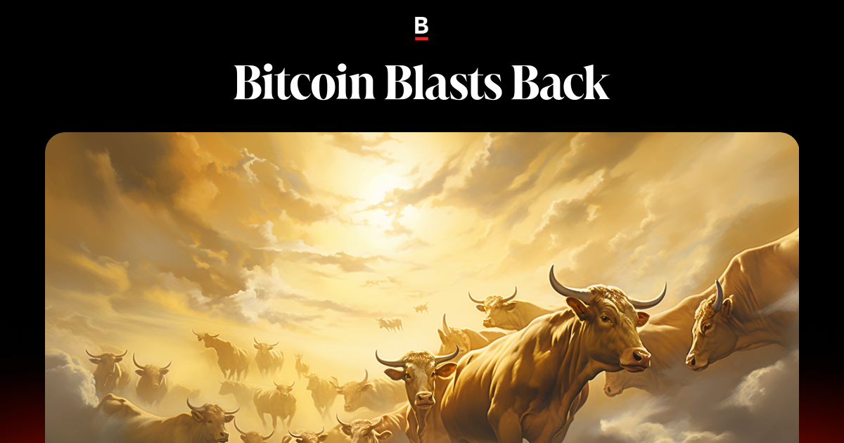 Bitcoin Blasts Back