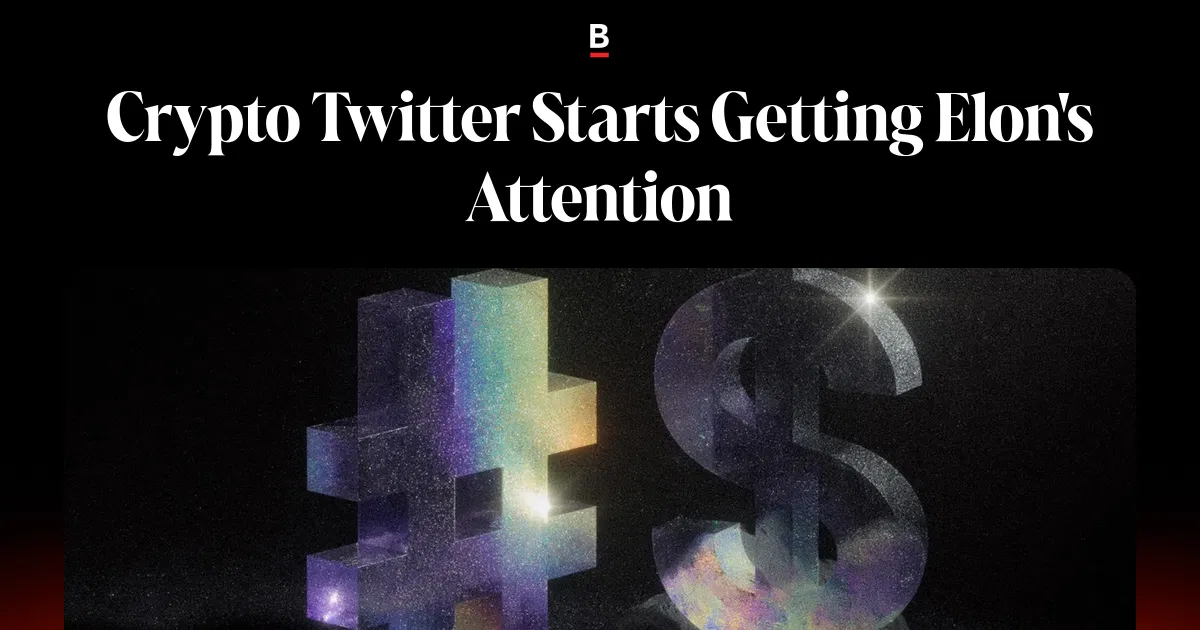 Crypto Twitter Starts Getting Elon's Attention