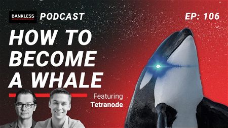 🎙 106 - How to Become a Whale | Tetranode