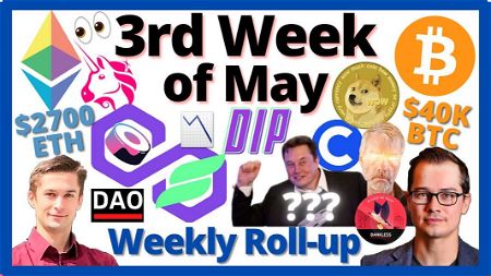📺 ROLLUP: Dip Week | The Rise of Polygon | Erratic Elon