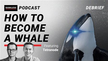 DEBRIEF - How to Become a Whale | Tetranode