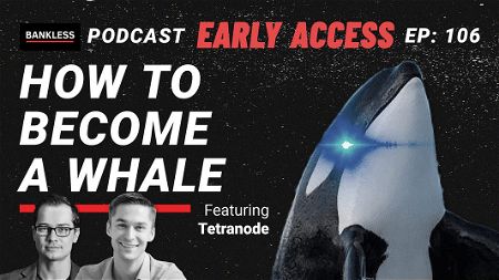 How to Become a Whale | Tetranode