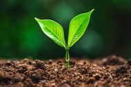 5 Sectors to Keep An Eye On