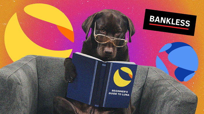 Guía de Terra para principiantes