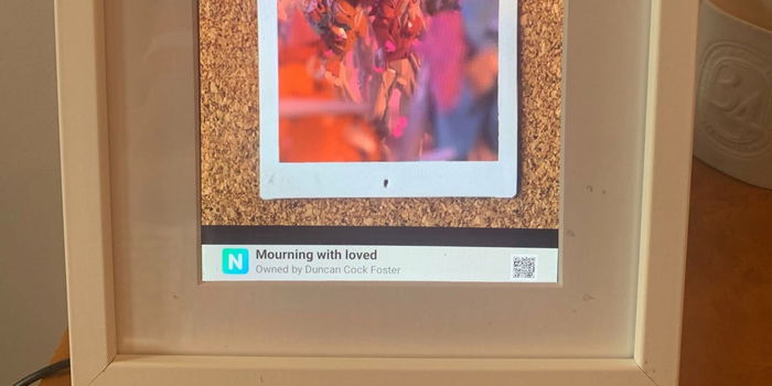 Cómo mostrar Cryptoart 🖼️