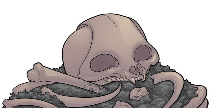 Racoon Rugged Society?