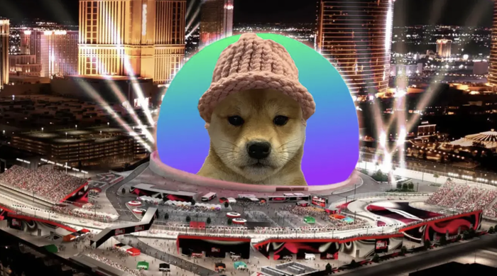 An Investor Guide to Memecoin Mania