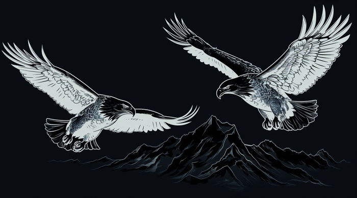 Ver fichas con Dex Screener