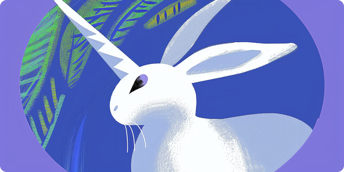 Primeros pasos con Bunni v2