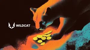 Citizen DeFi Play: Wildcat's Uncollateralized Lending