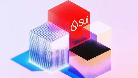 Sui's Promise & Progress