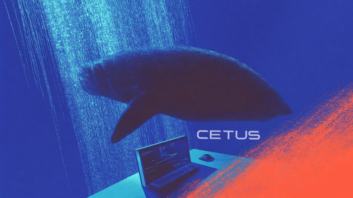 La bolsa descentralizada Cetus de Sui, afectada por un ataque de 260 millones de dólares