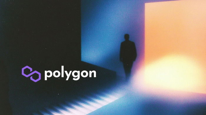 Mihailo Bjelic, cofundador de Polygon, abandona el proyecto