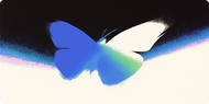 Guide du débutant pour le DeFi sur Morpho