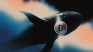 Bitcoin Whale Moves 80,000 BTC