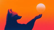 MetaMask will diesen Monat Stablecoin auf den Markt bringen: CoinDesk