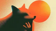 MetaMask fügt Social Login für Wallet-Erstellung hinzu
