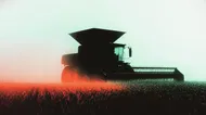 Las mejores oportunidades agrícolas de agosto