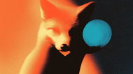 MetaMask Stablecoin geht in Betrieb