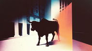 Bullish gewinnt die New Yorker BitLicense