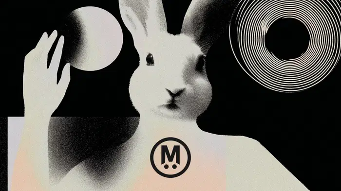 MegaETH Publishes Specifics for Upcoming Public Token Sale