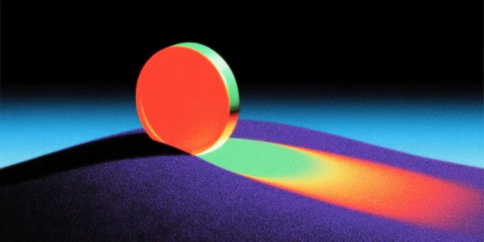 Polymarket CMO Confirms Token Airdrop