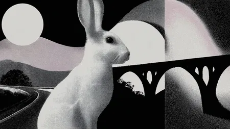 MegaETH Teases 'Pre-Deposit' Mainnet Bridge with Airdrop Points Consideration