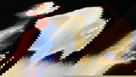 Wyoming Becomes First U.S. State to Issue Stablecoin