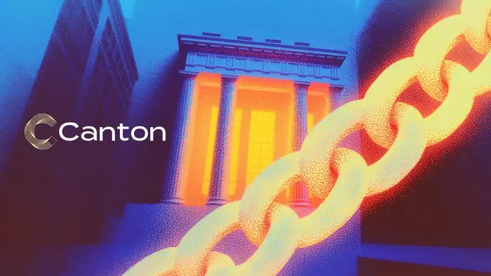 How Canton Network Works