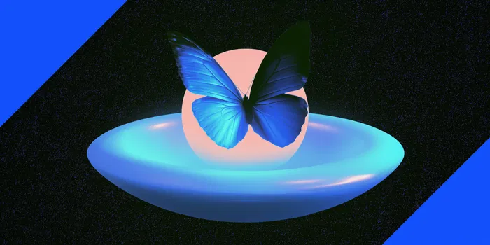 Morpho Midnight and the Rate DeFi's Been Missing