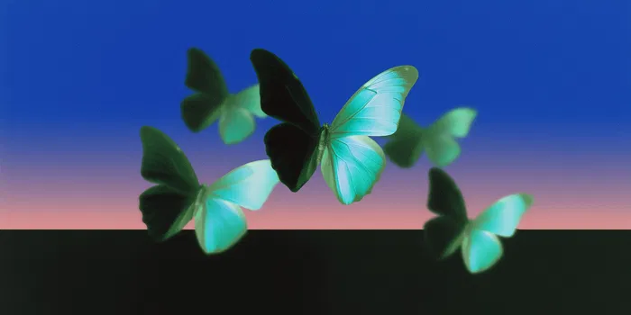 Morpho's Fixed-Rate Lending Protocol Midnight Nears