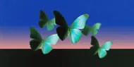 Morpho's Fixed-Rate Lending Protocol Midnight Nears