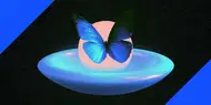 Morpho Midnight and the Rate DeFi's Been Missing