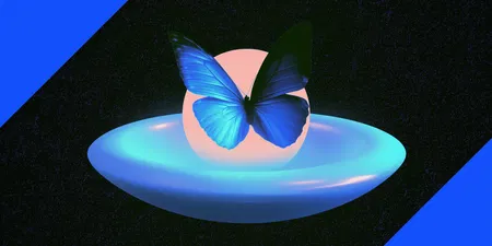 Morpho's Midnight Makeover